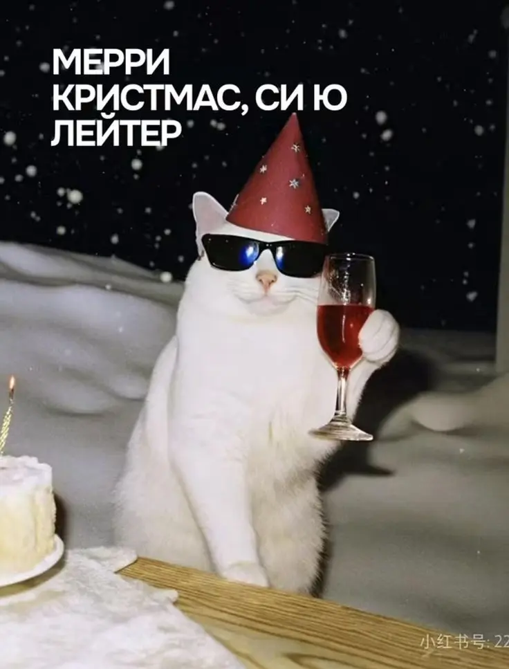 1767221879490.webp