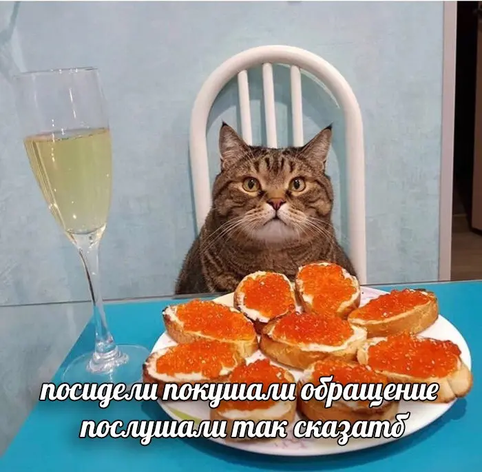 1767223108433.webp