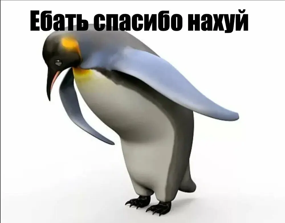 1767267493447.webp