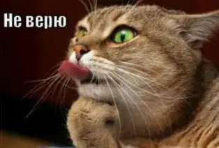 1767345836094.webp
