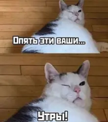 1767499655453.webp