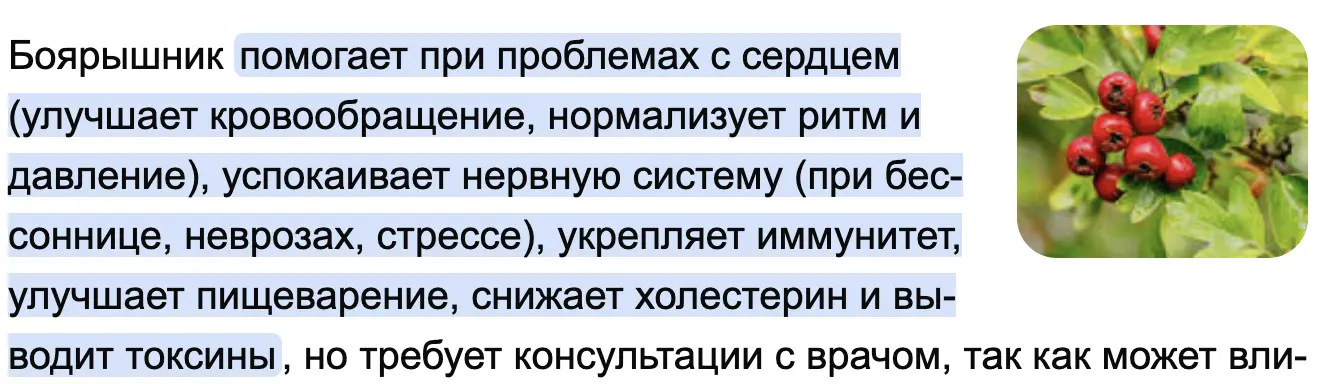 1767614455031.webp