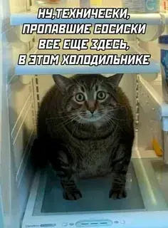 1768165982525.webp