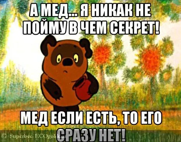 1768376558665.webp
