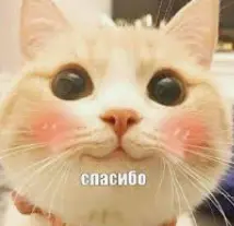 1768383301111.webp