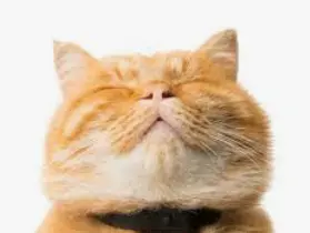 1768383636997.webp