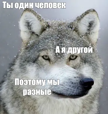 1768843645711.webp