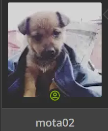 1769105613342.webp