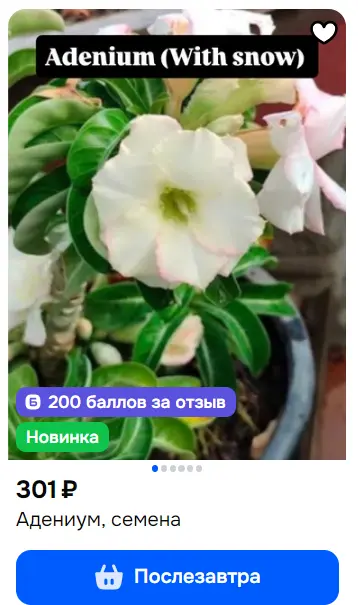 1769680782200.webp