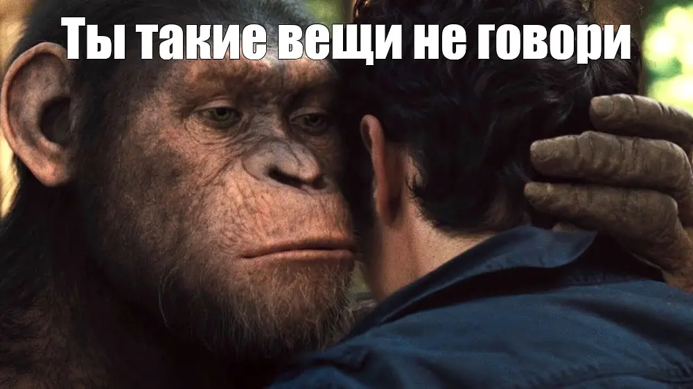 1769713252693.webp