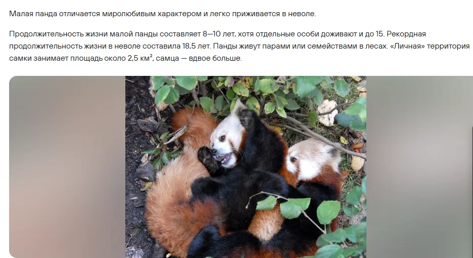 1769715032738.webp