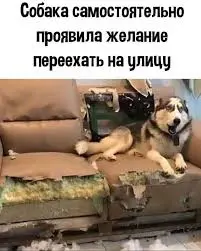 1770317162821.webp