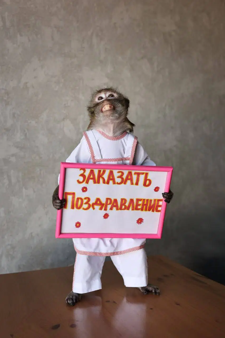 1770496865537.webp