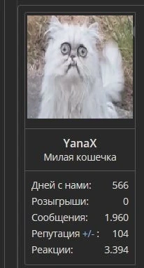 1770647843753.webp