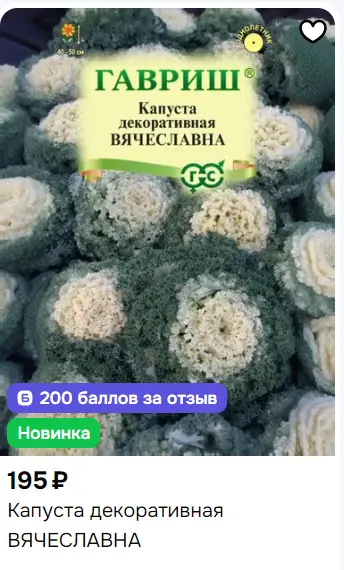 1770885261244.webp