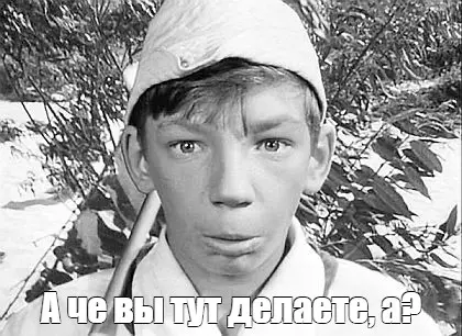 1770990314381.webp