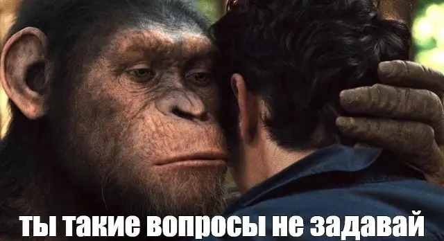 1771003099788.webp