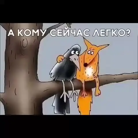1771003328553.webp