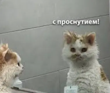 1771226918949.webp
