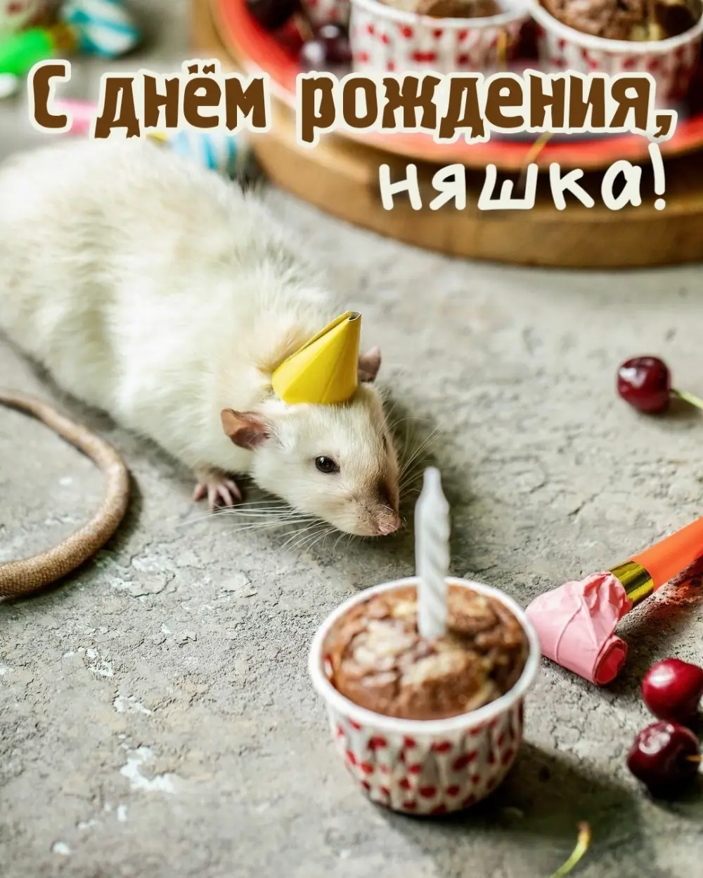 1771244810024.webp