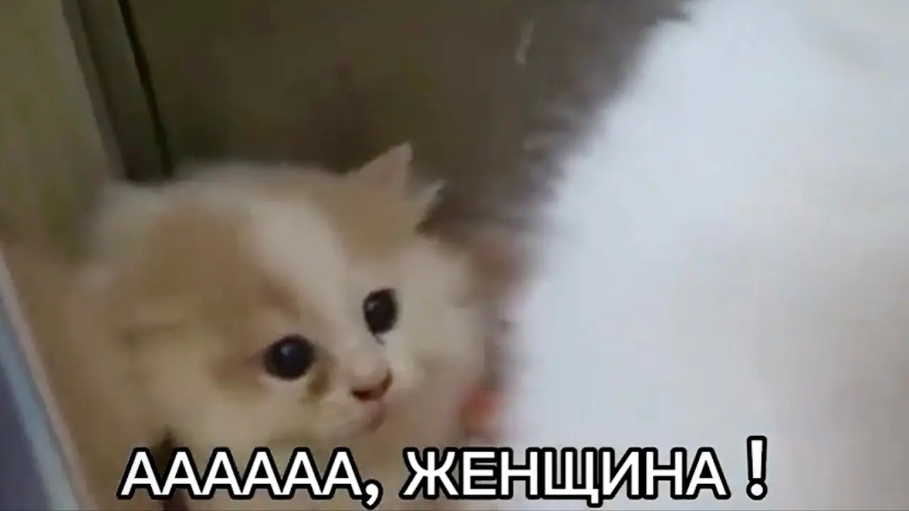 1771321131977.webp