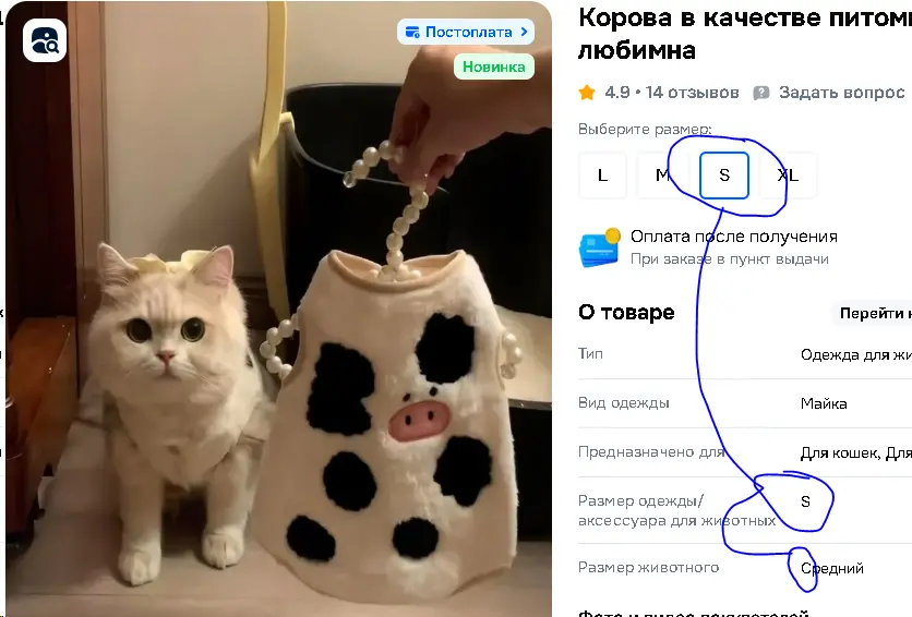 1772025497606.webp