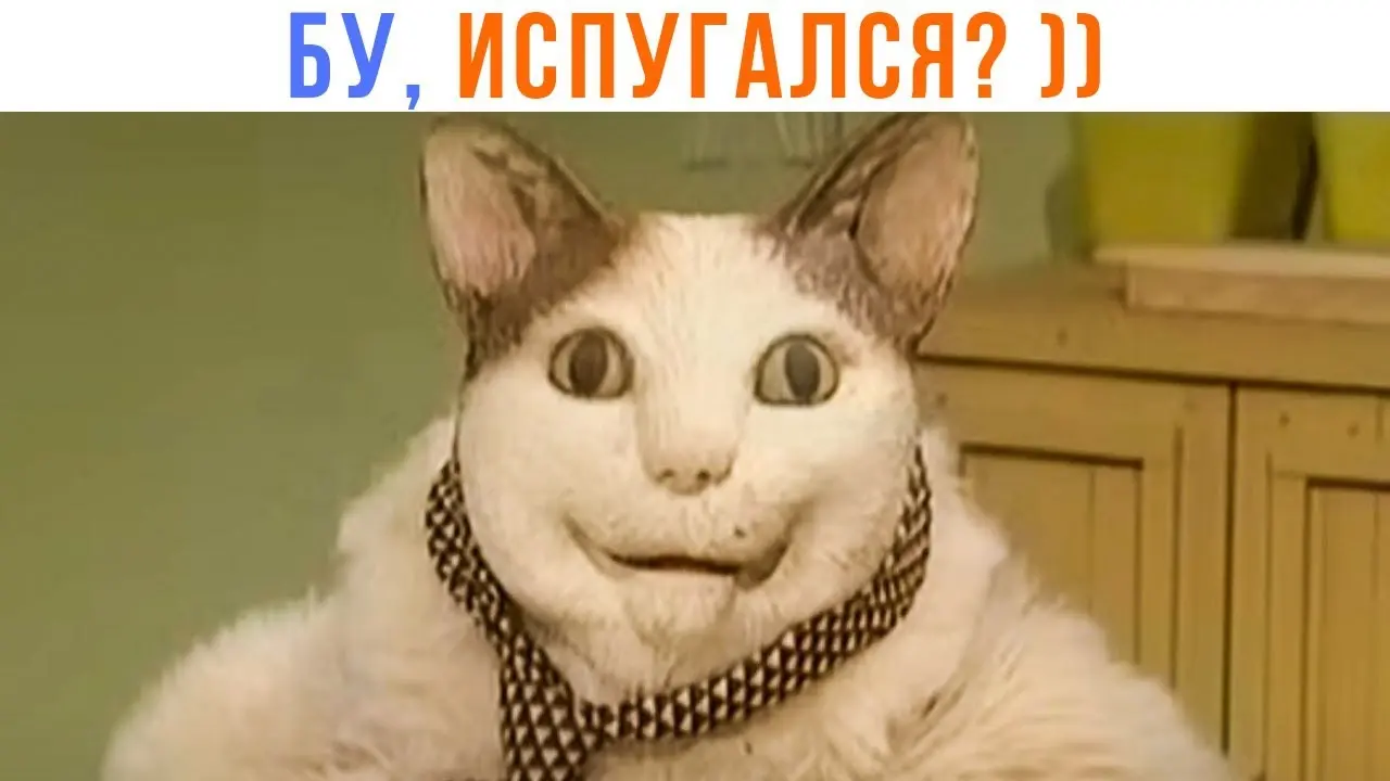 1772106354647.webp