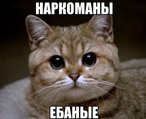 1772114826213.webp