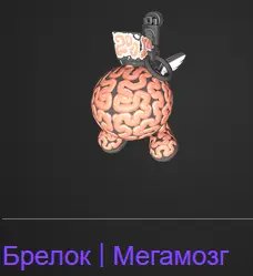 1772308352535.webp