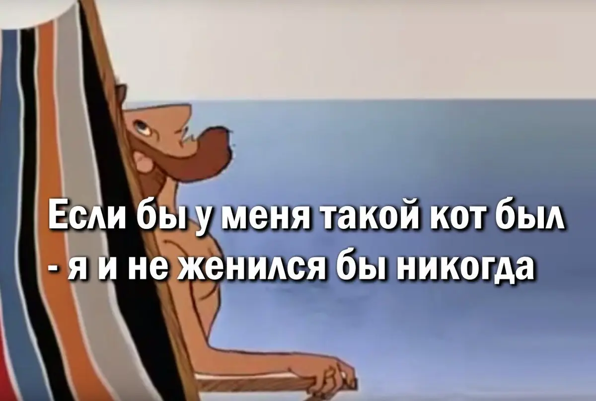 1772905126103.webp
