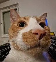1773075231471.webp
