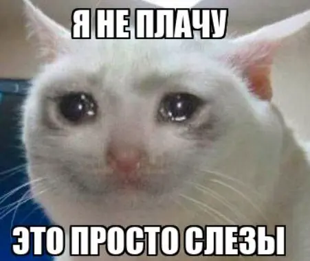 1773563699610.webp