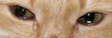 1773592524165.webp