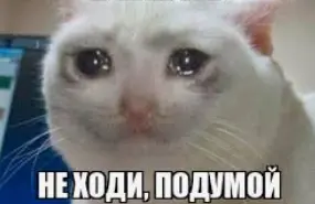 1773952459835.webp
