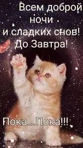 1773964253870.webp