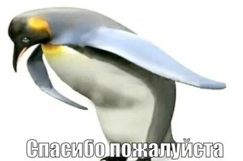 1774380263039.webp