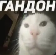 1774601063061.webp