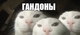 1774797624318.webp