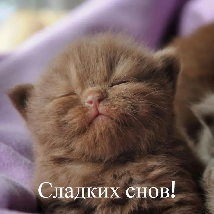 1775259595101.webp