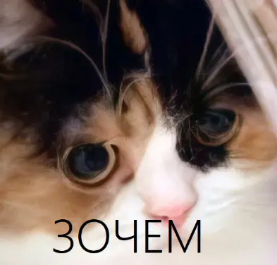 1775286318402.webp