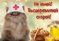 1775334935998.webp
