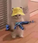 1775424246594.webp