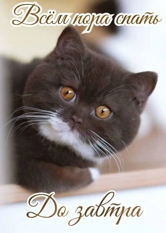 1775440730906.webp