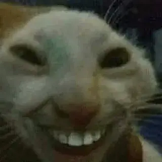 1775443274718.webp