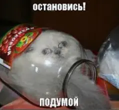 1775943924583.webp