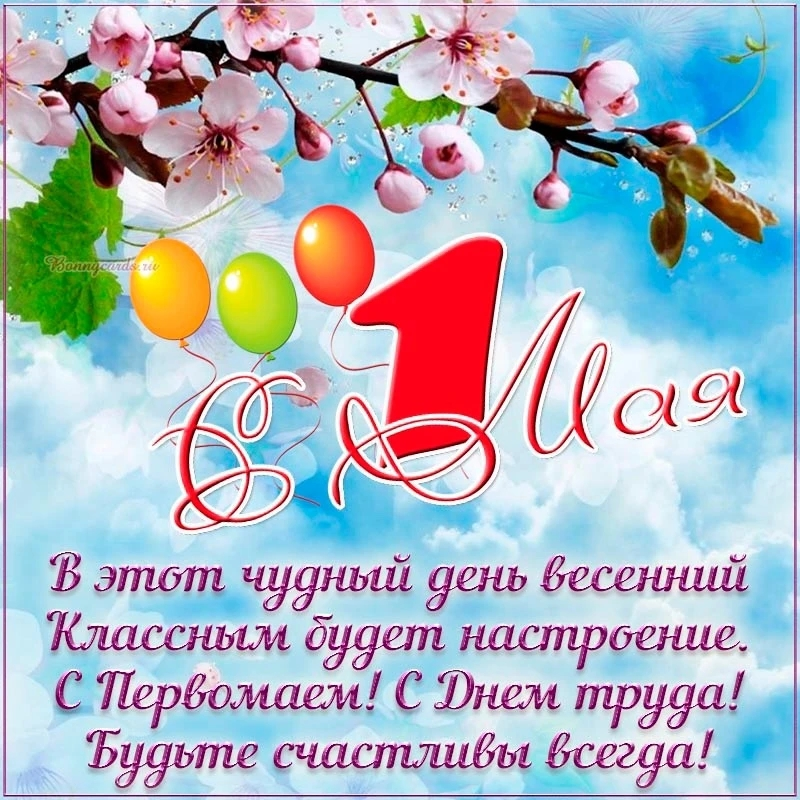 1777630388726.webp