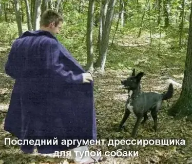 1777803307955.webp