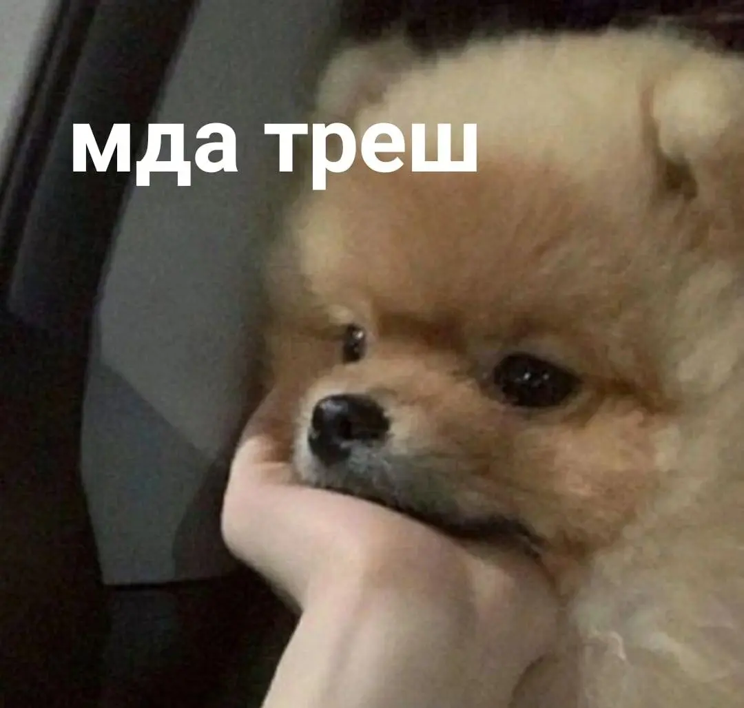 1778019048217.webp