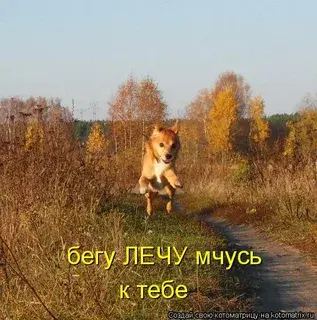 1778107742339.webp