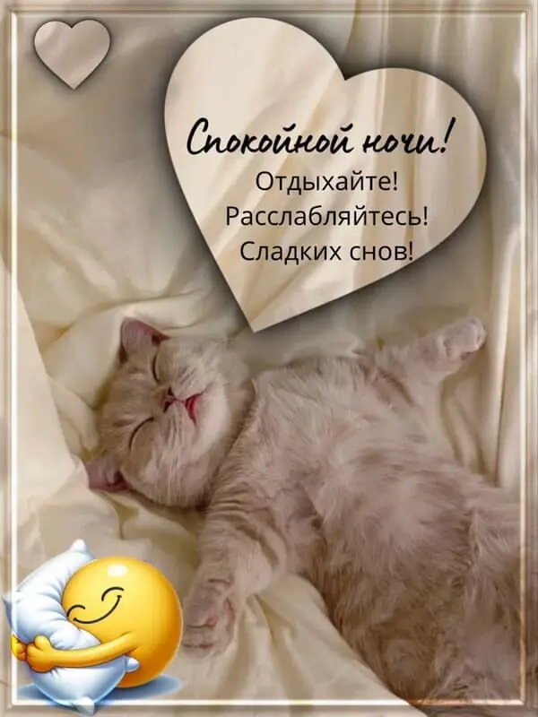 1778280831113.webp